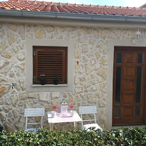 Croatian , Zadar Kroatië